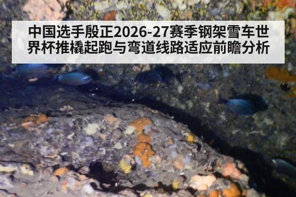 中国选手殷正2026-27赛季钢架雪车世界杯推橇起跑与弯道线路适应前瞻分析